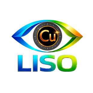 Logo LISO